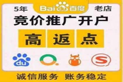 百度SEO推广案例：优化策略与效果对比